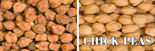chickpeas